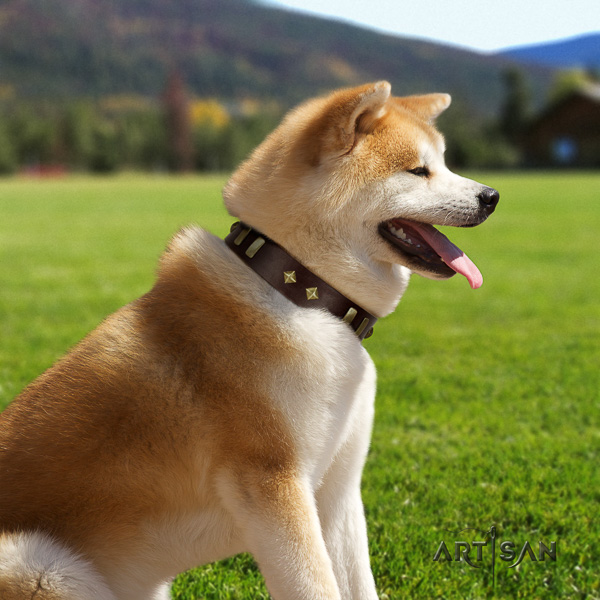 Akita Inu fancy walking full grain genuine leather collar with embellishments for your canine