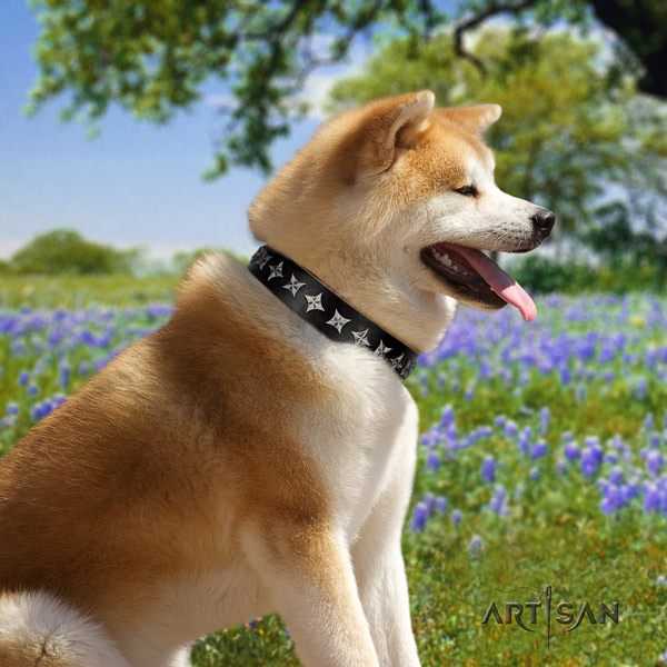 Akita Inu full grain leather dog collar with unique adornments