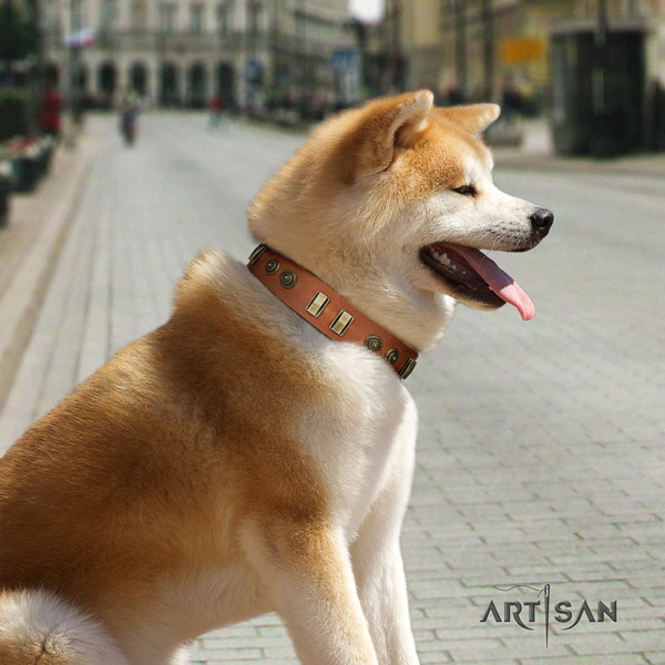 Akita Inu genuine leather dog collar with inimitable embellishments
