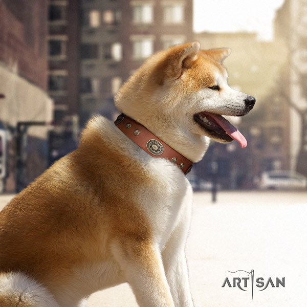 Akita Inu full grain leather dog collar with inimitable studs