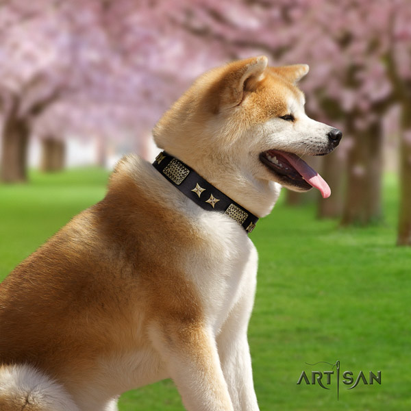 Akita Inu full grain leather dog collar with incredible studs