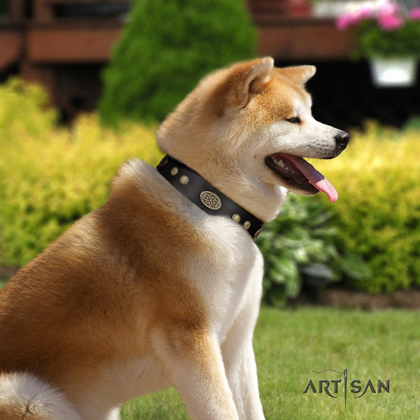 Akita Inu leather dog collar with fashionable decorations