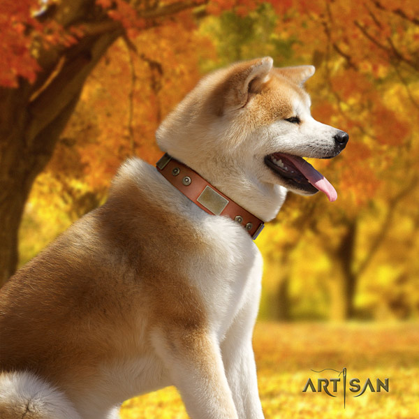 Akita Inu genuine leather dog collar with designer studs