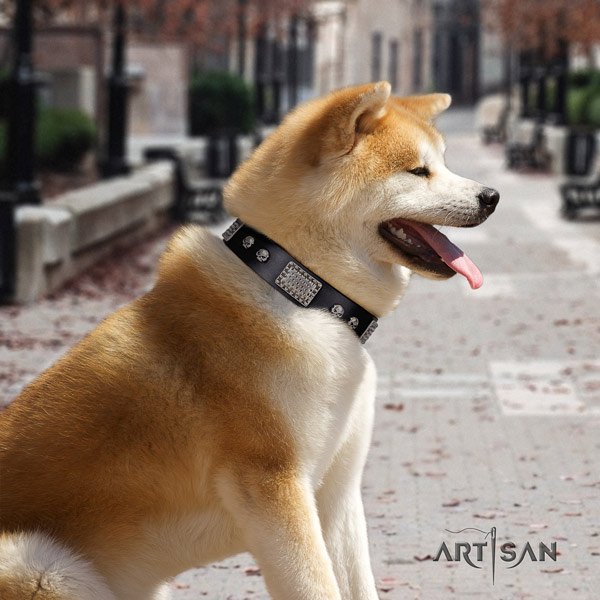 Akita Inu full grain leather dog collar with amazing embellishments