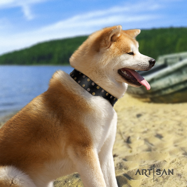 Akita Inu comfy wearing full grain leather collar with embellishments for your dog