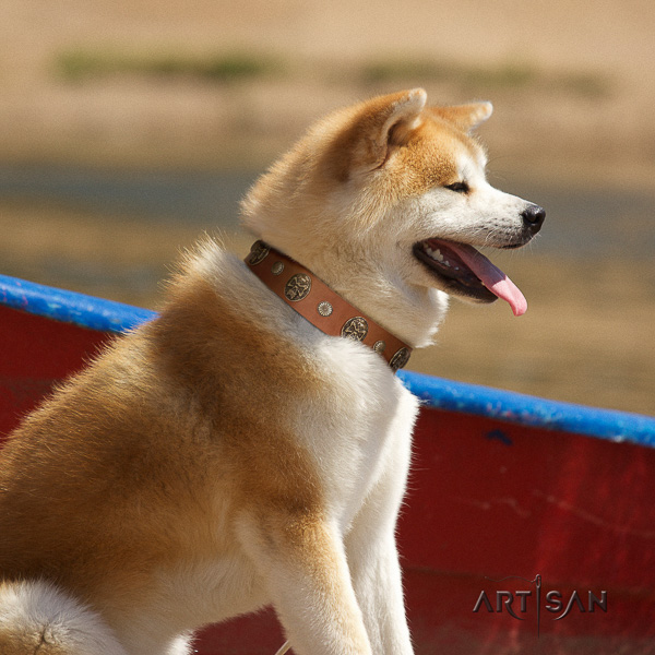 Akita Inu fancy walking full grain natural leather collar with embellishments for your pet