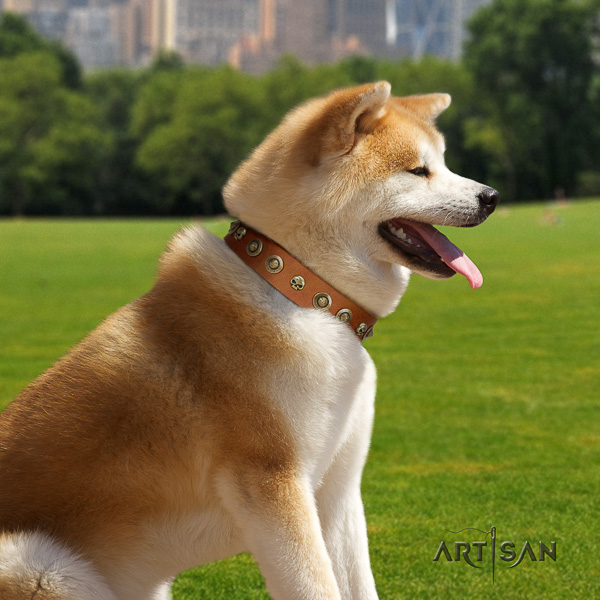 Akita Inu everyday use leather collar with decorations for your four-legged friend
