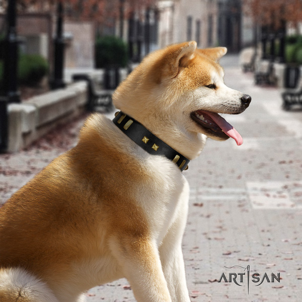 Akita Inu walking full grain natural leather collar with adornments for your dog