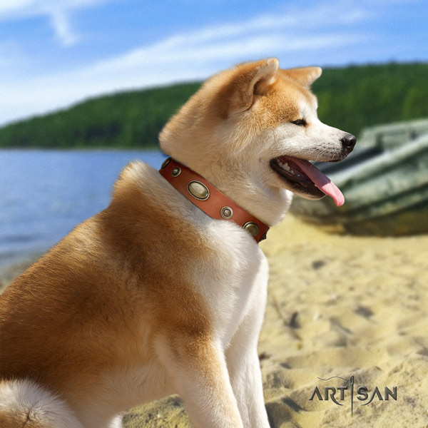 Akita Inu full grain leather dog collar with impressive adornments