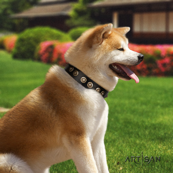 Akita Inu walking full grain natural leather collar with embellishments for your canine