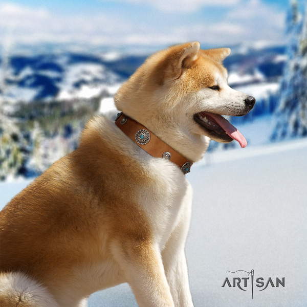 Akita Inu everyday use full grain natural leather collar with studs for your dog