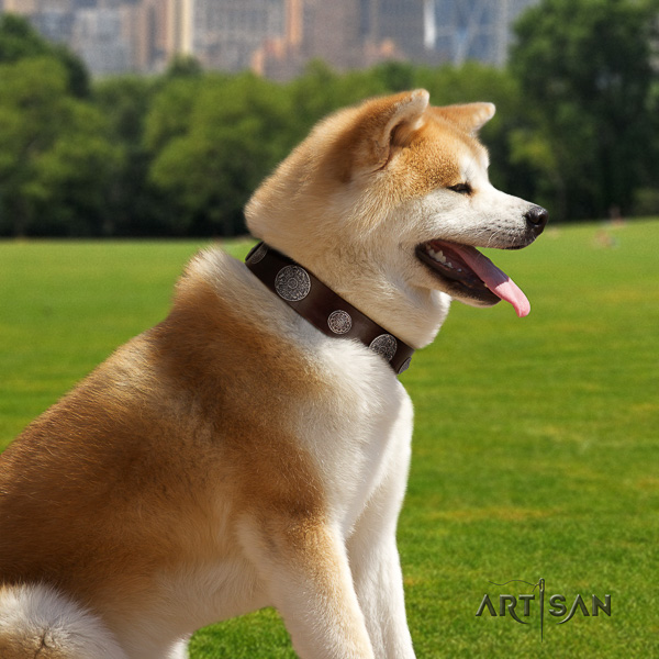 Akita Inu walking genuine leather collar with adornments for your dog