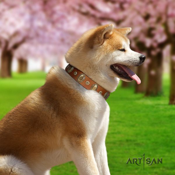 Akita Inu easy wearing leather collar with embellishments for your dog