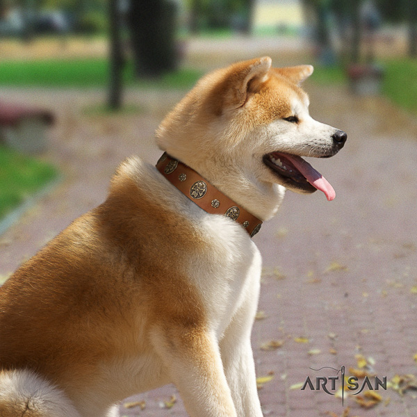 Akita Inu everyday walking natural leather collar with adornments for your pet