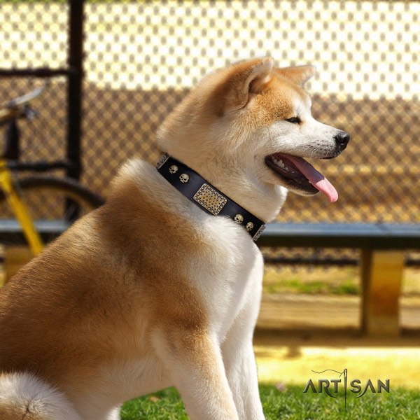 Akita Inu full grain leather dog collar with incredible embellishments