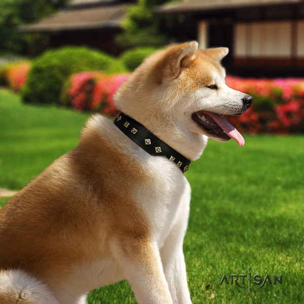 Akita Inu genuine leather dog collar with unique adornments