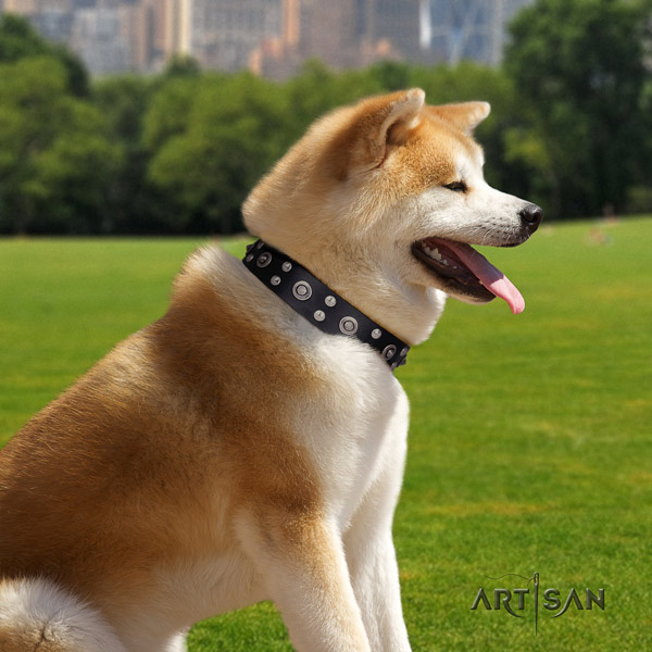 Akita Inu full grain leather dog collar with unusual embellishments