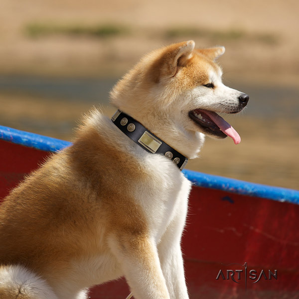 Akita Inu leather dog collar with exceptional embellishments