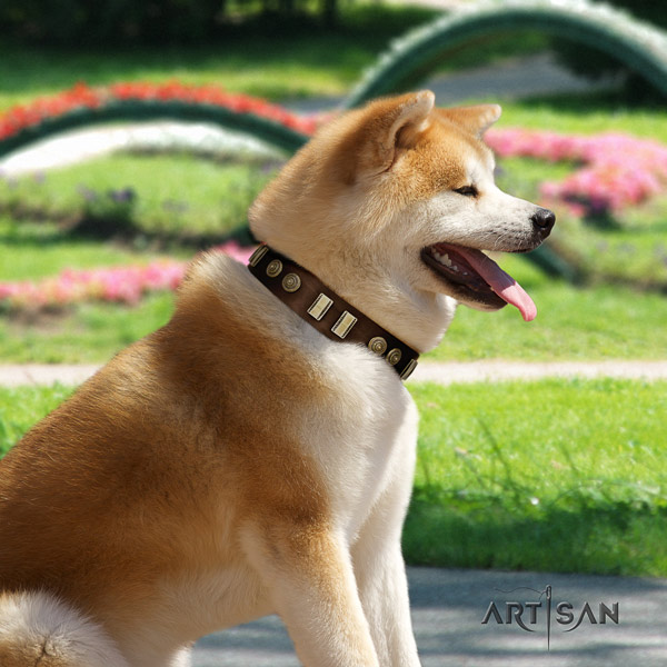 Akita Inu full grain leather dog collar with impressive studs