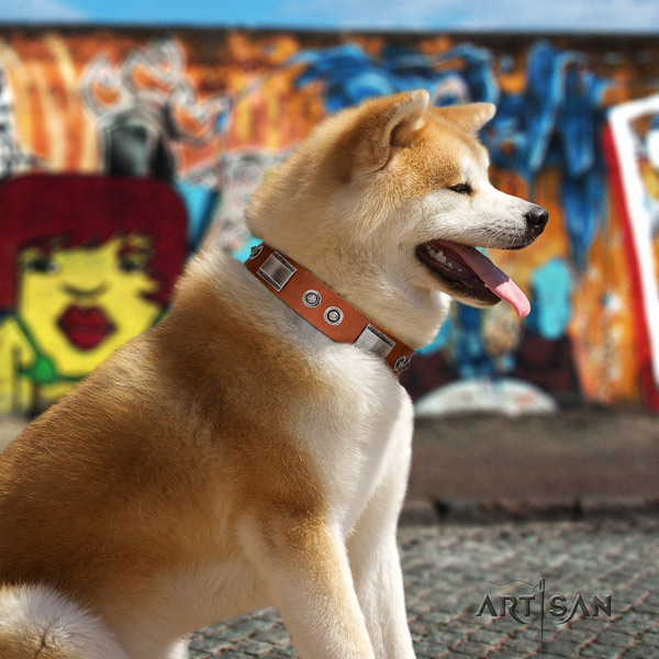 Akita Inu decorated leather dog collar with extraordinary studs