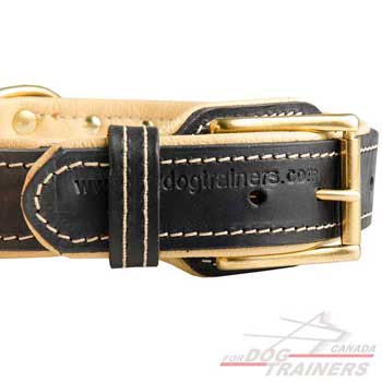 Brass Buckle Resistant to Rust and Corrosion