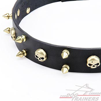 Brass Decorative Elements on Black Leather Collar for Dogs