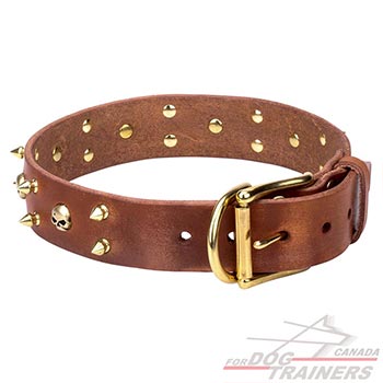 Full grain natural leather dog collar of tan color