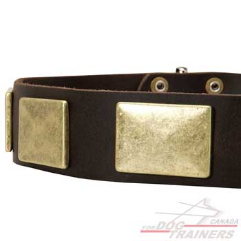 brass plates for dog leather collar