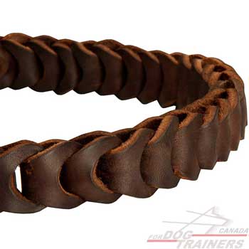 Choke Collar Leather Springy Braid for Better Comfort