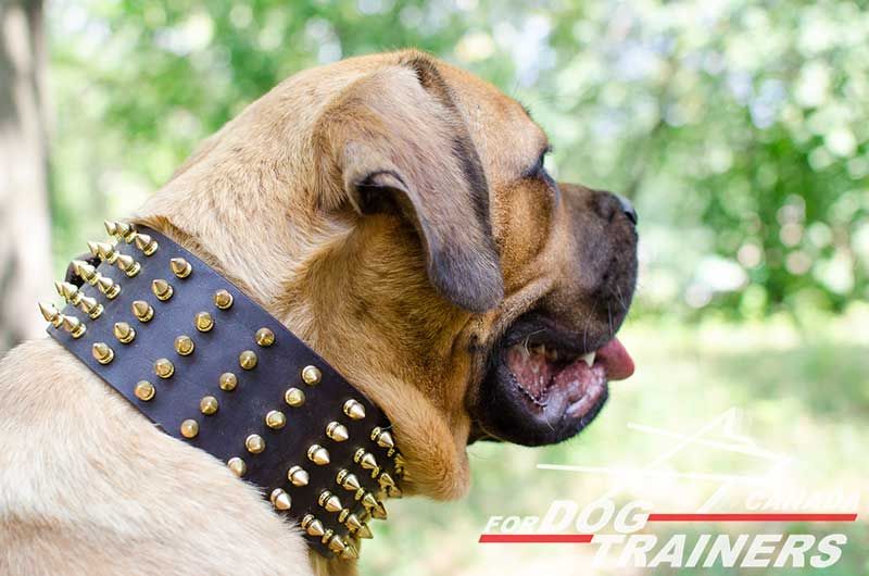 Spiked Studded Pet Dog Collar Genuine Leather Heavy Duty for Large Dogs  Pitbull