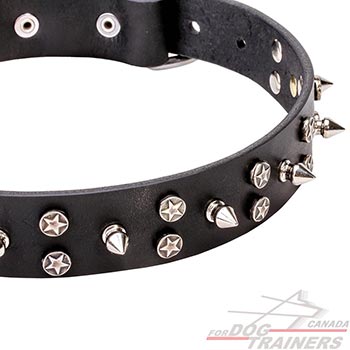 Chrome Plated Decoration for Quality Leather Dog Collar