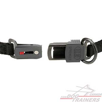 Click lock buckle on curogan dog pinch collar for behavior control