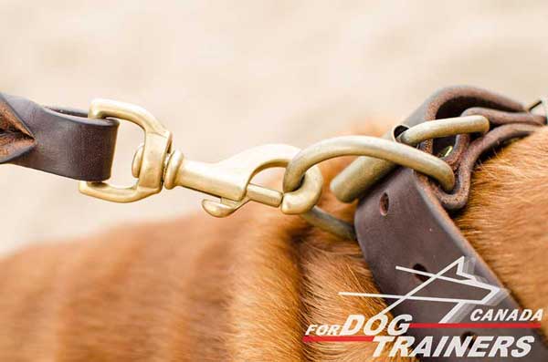 D-Ring for Leash on Leather Collar for Large and Medium Dogs