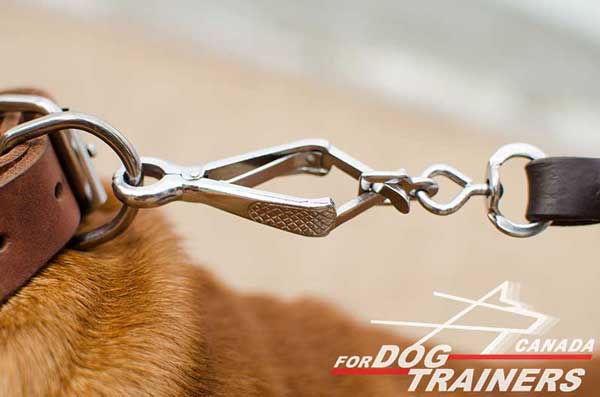 D-Ring on Leather Dog Collar for Leash Fastening