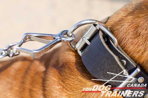 D-Ring for Leash on Leather Collar