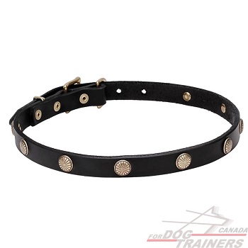 Walking Leather Dog Collar with Decorations