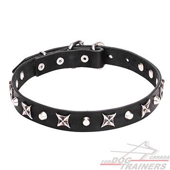 Leather Dog Collar with Nickel Plated Decorations