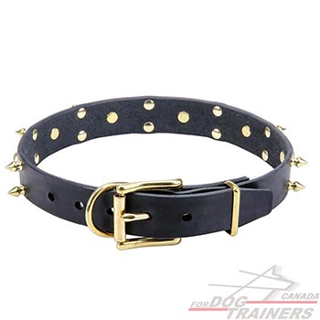 Leather Canine Collar with Durable Brass Buckle and D-ring