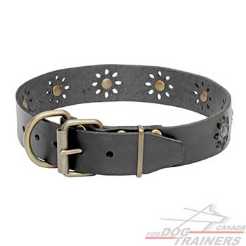 Leather Dog Collar with Brass Buckle