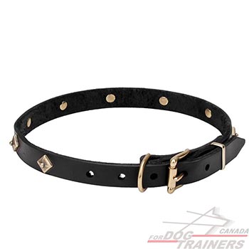 Natural Leather Dog Collar of Extraordinary Design