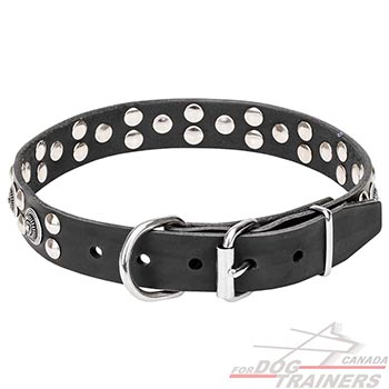 Leather Dog Collar with Chrome-plated Buckle and D-ring