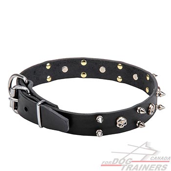 Silvery hardware for leather dog collar