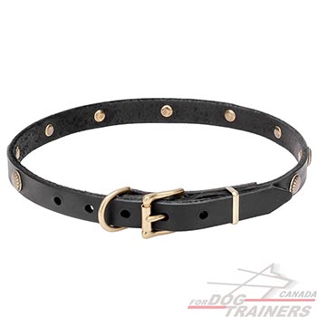 Natural Leather Dog Collar with Strong Buckle and D-Ring