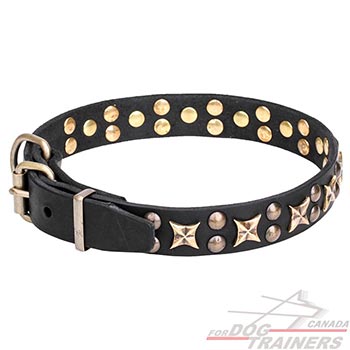 Dog collar with rust resistant hardware