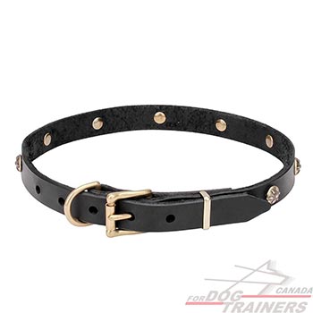 Narrow Leather Dog Collar with Brass Buckle and D-ring