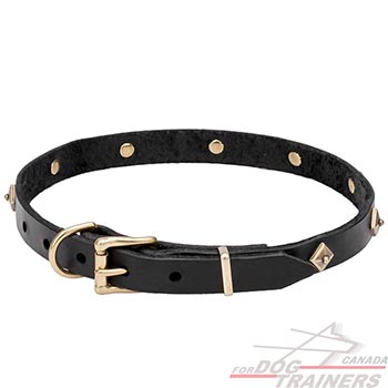 Narrow Leather Dog Collar with Brass Hardware