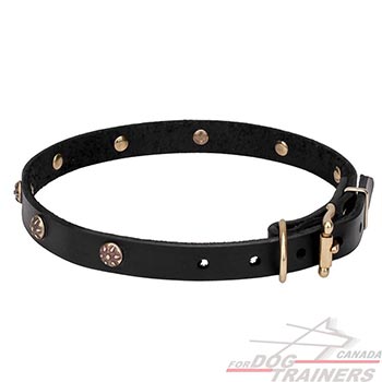 Narrow Leather Dog Collar for Easy Training and Walking