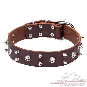 Full grain natural leather dog collar of brown color
