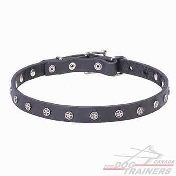 Leather Dog Collar with Nickel Plated Decorations