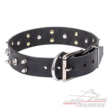Black leather collar with skulls and 2 rows of spikes